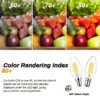 5pcs B15 LED bulbs